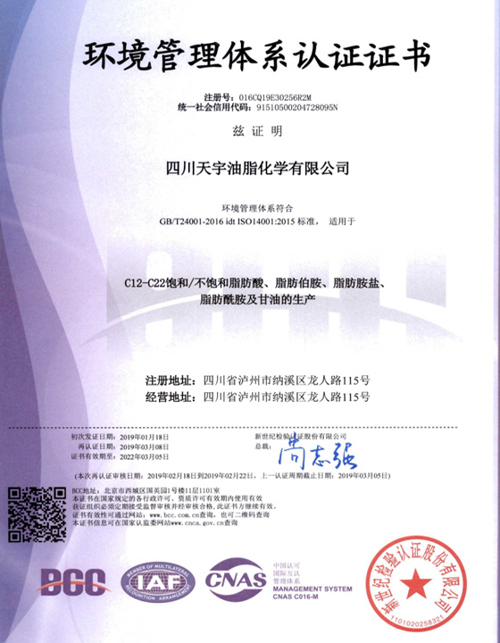 环境管理体系认证证书中文版