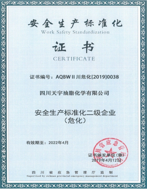 安全标准化二级企业证书